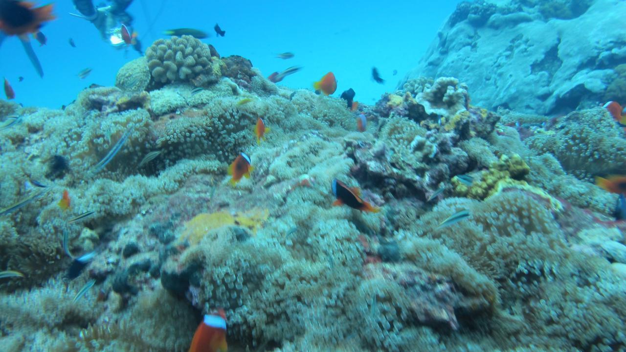 Shiacare Hostel 緑島郷 エクステリア 写真